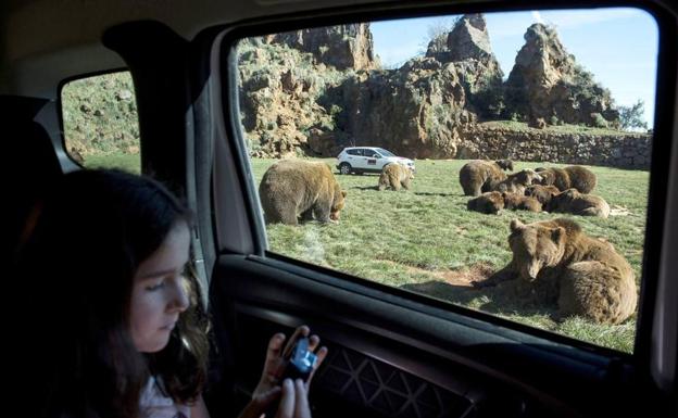Dos informes internos de Cabárceno alertan de la «desastrosa» situación del Parque