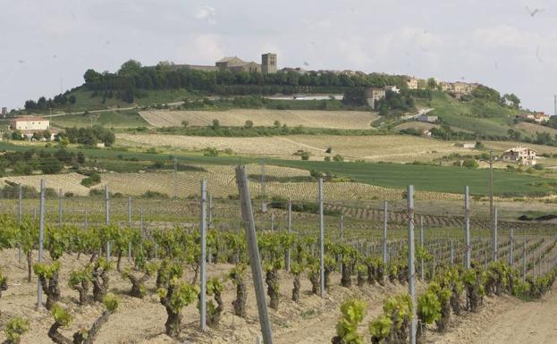 Satisfacción en la Rioja Alavesa al evitar el paso de la Alta velocidad por la comarca