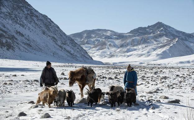 La primavera saca del letargo a Mongolia