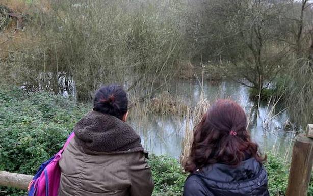 Bilbao mantiene la propiedad sobre tres parcelas de Erandio 35 años después de su desanexión