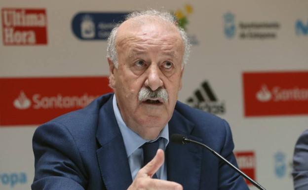 Del Bosque rechaza ser secretario de Estado para el Deporte