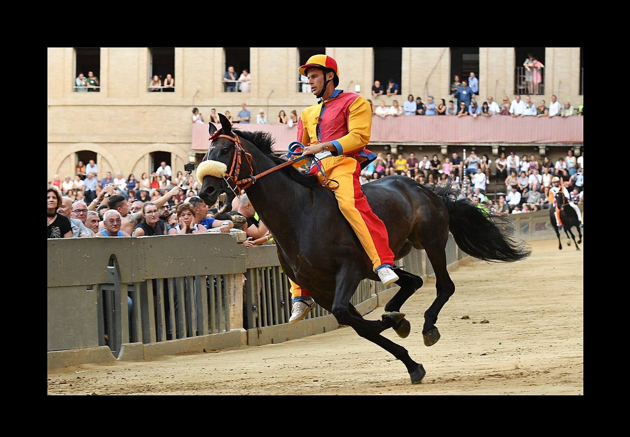 La luz y los caballos de Siena