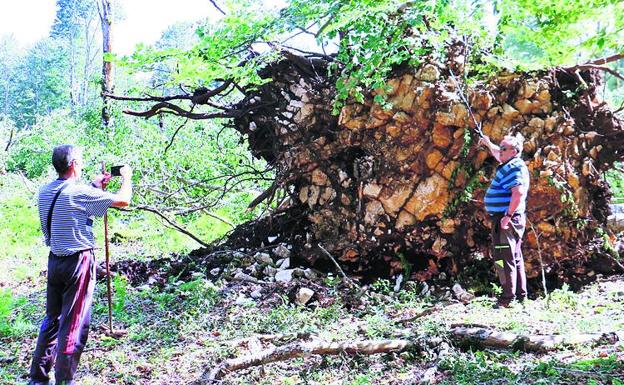 Cómo se formó el devastador tornado que arrasó un hayedo en la sierra de Entzia