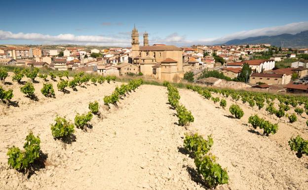 Listos para comer y beber en Elciego