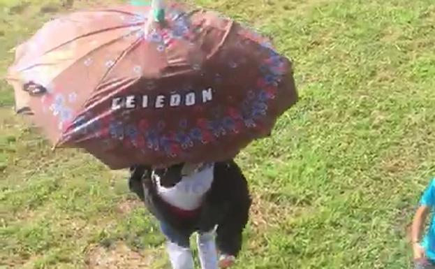 Celedón se adelanta cuatro días y ya ha bajado en Guatemala