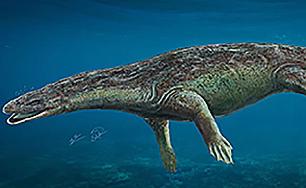 Investigadores españoles descubren un nuevo reptil marino del Triásico