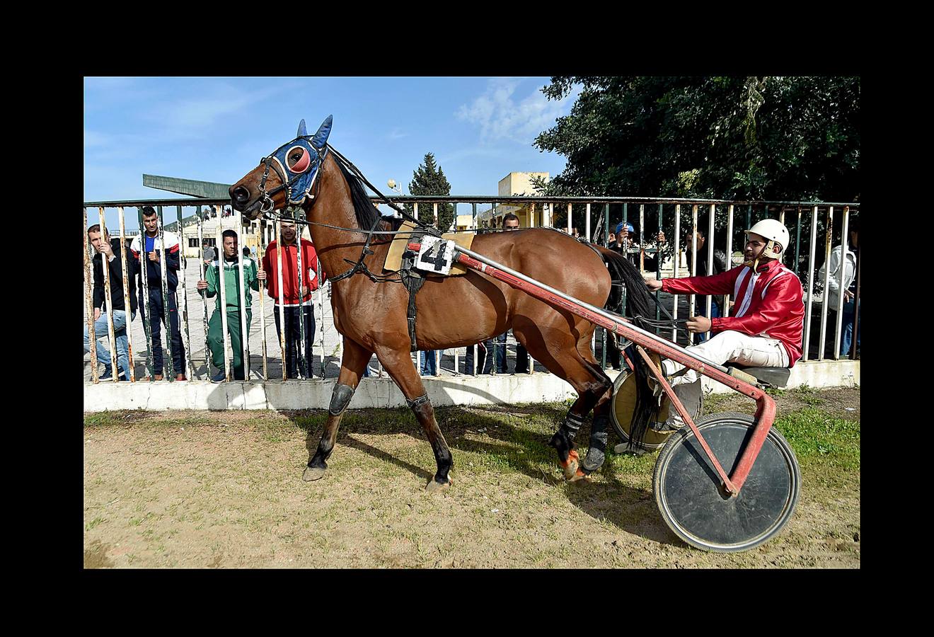 El Petit Longchamp languidece