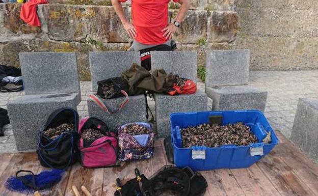 Los 75 kilos de percebes requisados en Gaztelugatxe, para el Banco de Alimentos: «Han gustado mucho»