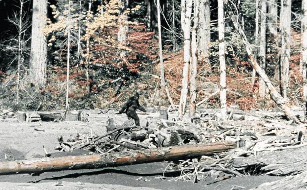 El esquivo bigfoot cumple 60 años