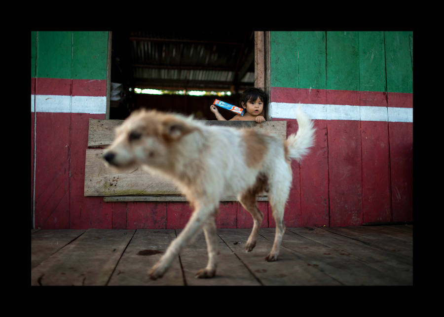 Los secretos de la Reserva de Mamiragua