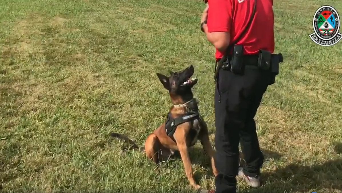 'Enno', el perro desaparecido de la Ertzaintza, visita la Unidad de Rescate