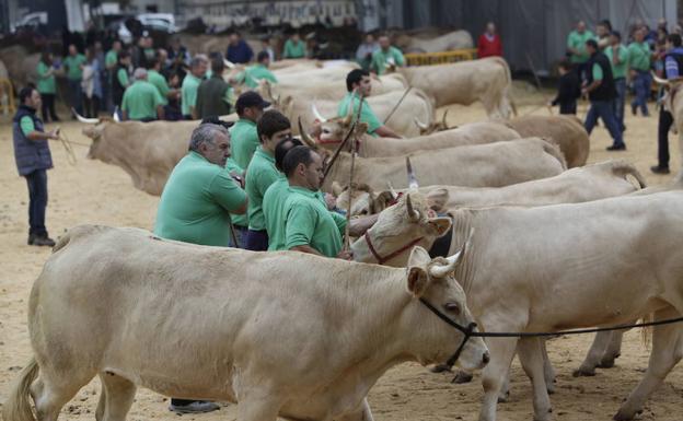 Gernika prepara sus ferias de octubre