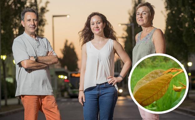 Investigadores de la UPV descifran cómo una planta del Amazonas es capaz de matar células del cáncer de hígado