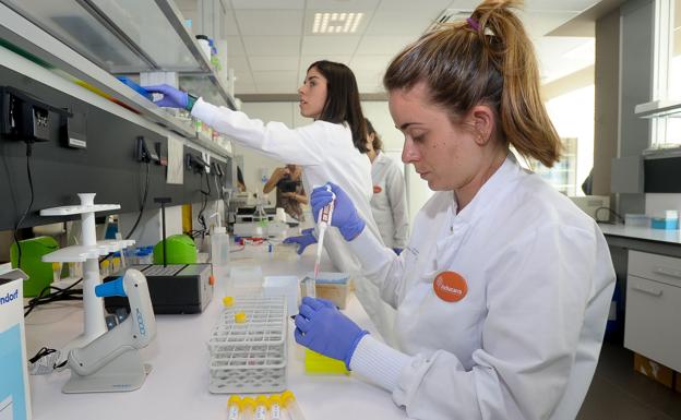 La UPV presenta su segundo plan de investigación para «consolidar su liderazgo científico»