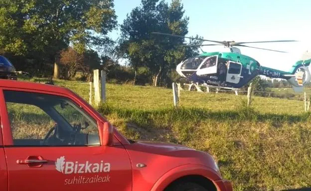 Al lugar del accidente se trasladó un helicóptero, aunque la víctima ya había fallecido. /Bomberos Bizkaia