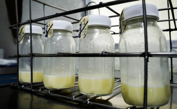 Euskadiko esne-bankuak 370 litro esne inguru bildu ditu lehen urtean