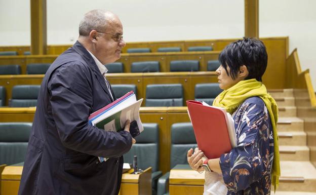 PNV y Bildu llevan su acuerdo para la reforma del Estatuto al Parlamento europeo