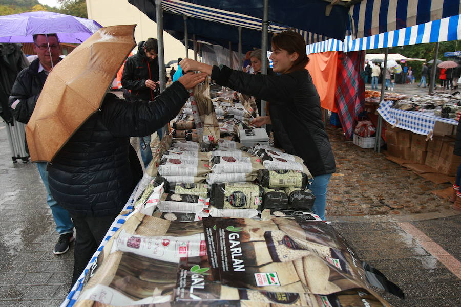Cientos de visitantes rinden culto a la sabrosa pinta alavesa en Pobes