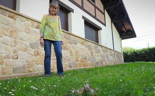 Los alcaldes del Txorierri piden en Madrid medidas «urgentes» contra los buitres en Loiu