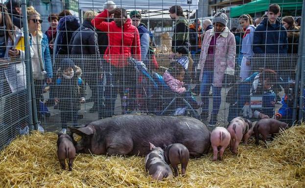 Lea Artibai anima a los baserritarras a acudir a la feria de Santo Tomás en Lekeitio