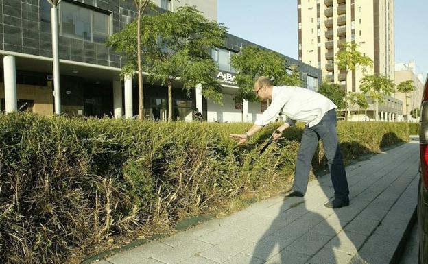 El Ayuntamiento sustituirá por césped los arbustos que dan cobijo a las ratas en Salburua