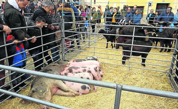 La feria de San Martín reúne en Campezo a 6.000 personas