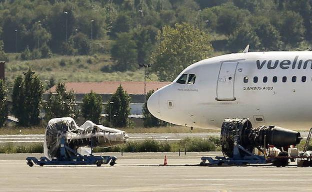 Bizkaia refuerza la vigilancia en el entorno del aeropuerto para controlar la presencia de buitres