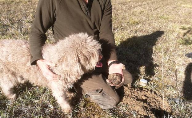 Valdegovía: En busca de la trufa