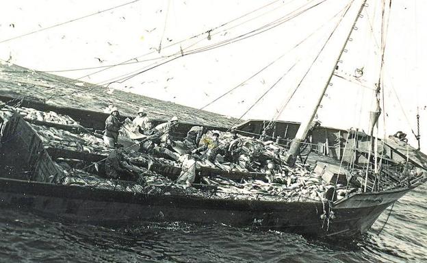 La vida en un bacaladero