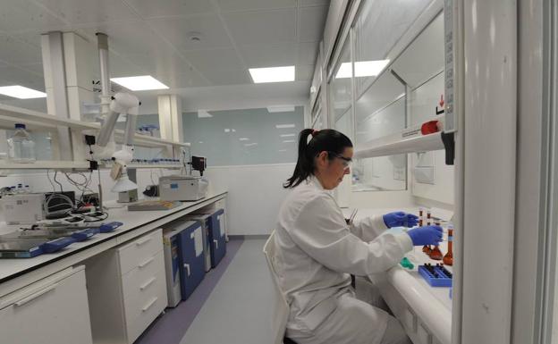 Hogei ikertzaile gazte kontratatzeko deialdia zabaldu du Ikerbasquek