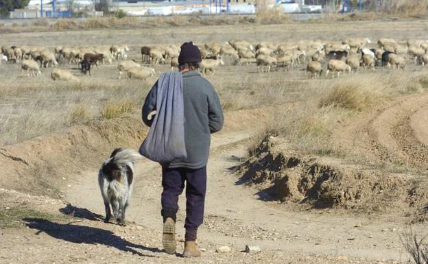 Sabiñánigo, pastores contra el olvido