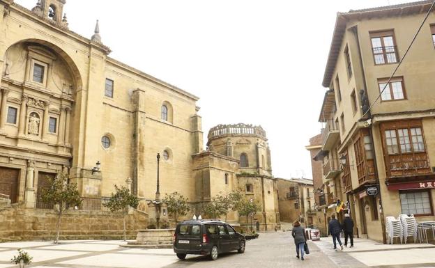 El caso de los 9 perros y 5 caballos abandonados en Labastida