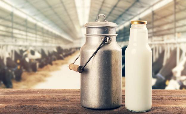 Más leche en Euskadi