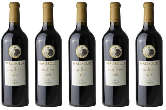Malleolus de Valderramiro 2015