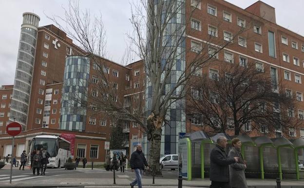 Bizkaia se alía con Osakidetza para generar un sector de negocio vinculado a los mayores