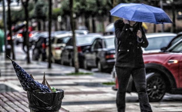 Las balsas de agua causan cortes en la red secundaria en Álava y el viento obliga a cerrar parques en Vitoria