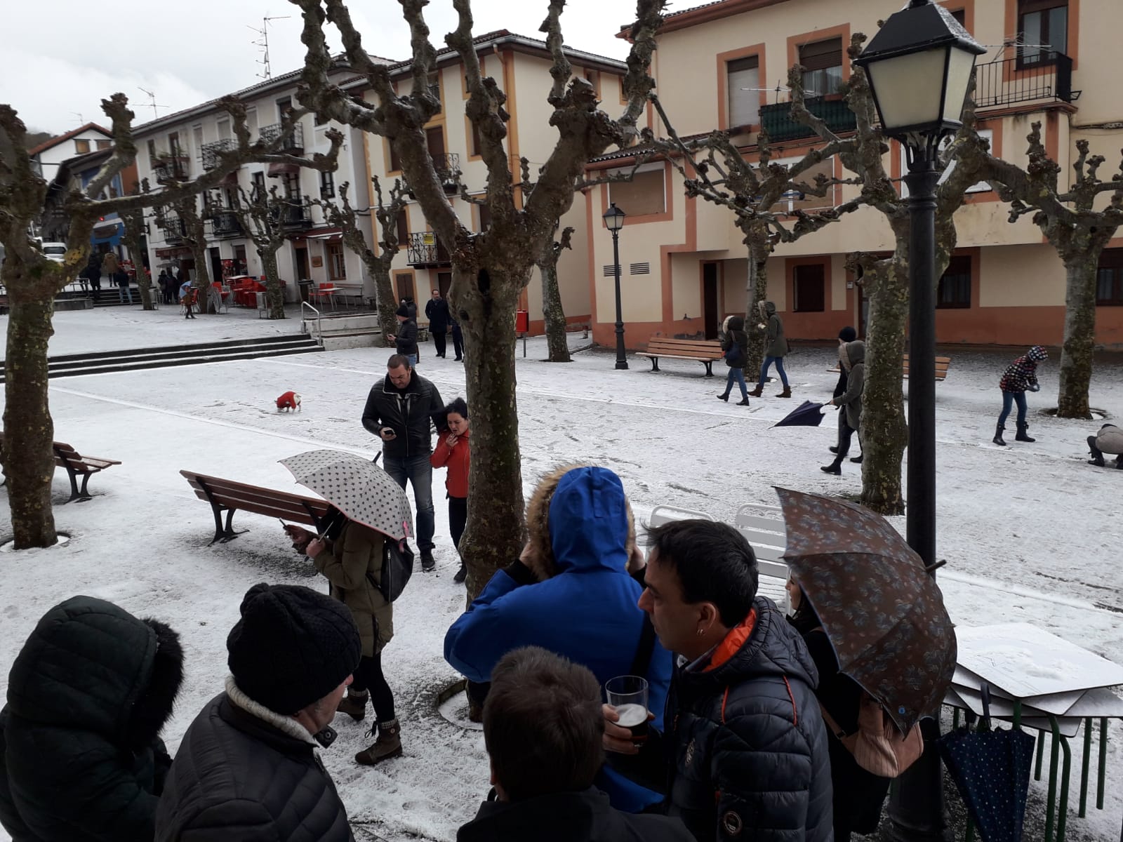 La nieve llega a Bizkaia