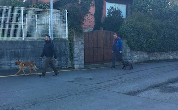 Marley y Athor, los perros clave en los casos de Diana Quer y Gabriel Cruz, intervienen en la investigación