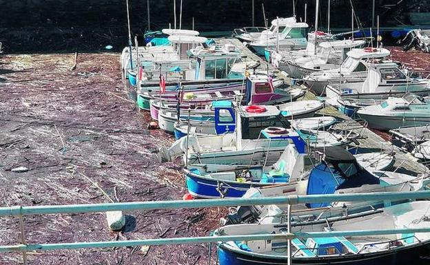 Una barrera de basura dificulta el hacerse a la mar a las lanchas del puerto de Arriluze