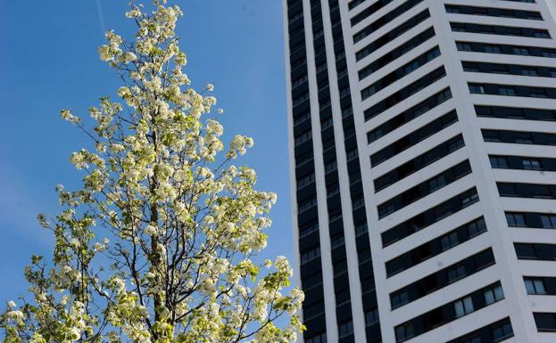 El Gobierno vasco estrecha el cerco contra los pelotazos en la venta privada de pisos protegidos