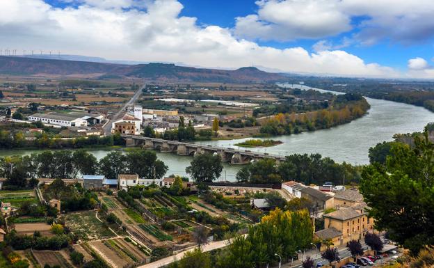 La alcachofa reina en Tudela
