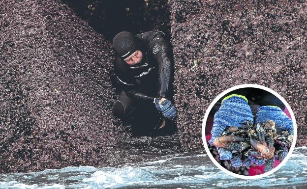 Tres perceberos profesionales se la juegan en las rompientes vizcaínas