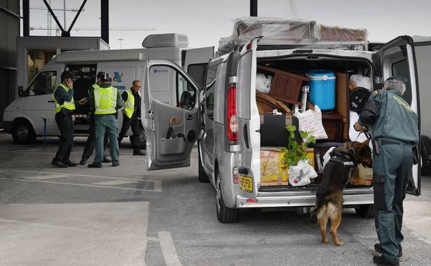 Guardia Civil y Policía Nacional desmantelan en un año 26 bandas que traficaban con personas o drogas