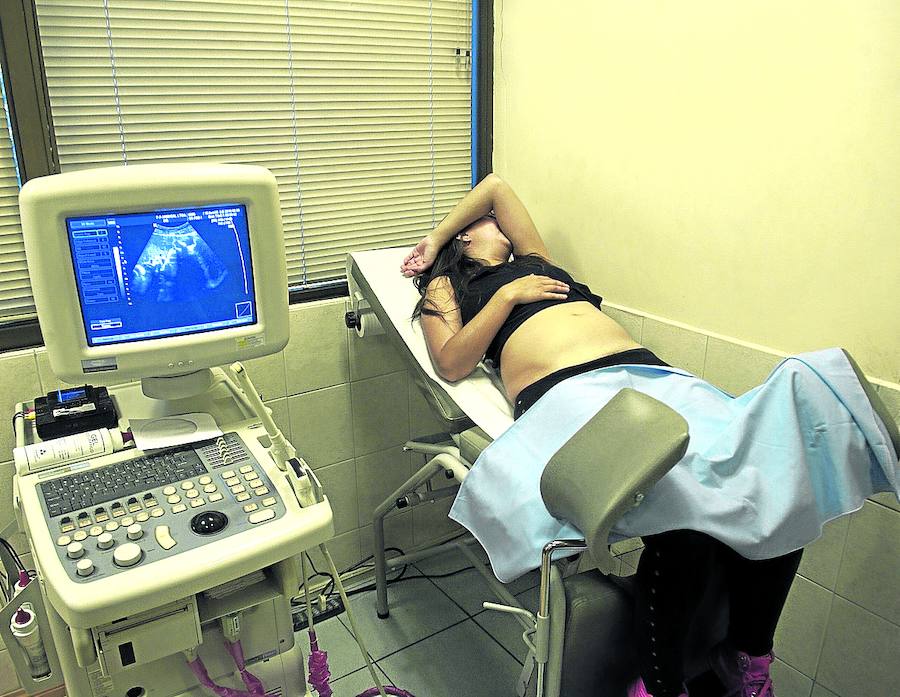 «Soy feminista y sería feliz llevando en mi vientre el bebé de otra pareja »