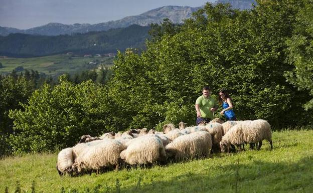 Nace el plan 'Gorbea Ekin' para impulsar el turismo en la zona