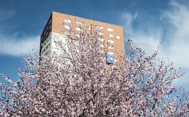 Las mejores fotos de Barakaldo