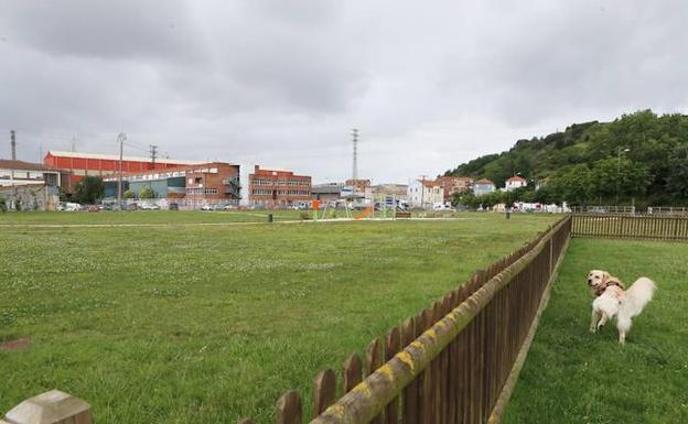 Tartanga Berdea retomará las protestas contra las 353 VPO previstas en Altzaga