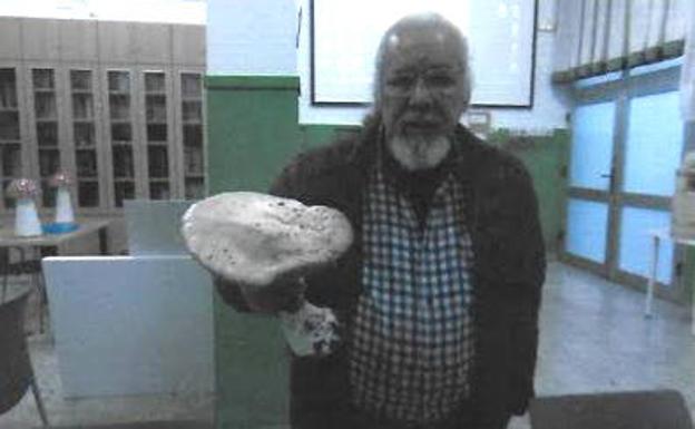 Aparece una seta de 23 centímetros en un céntrico jardín de Basauri