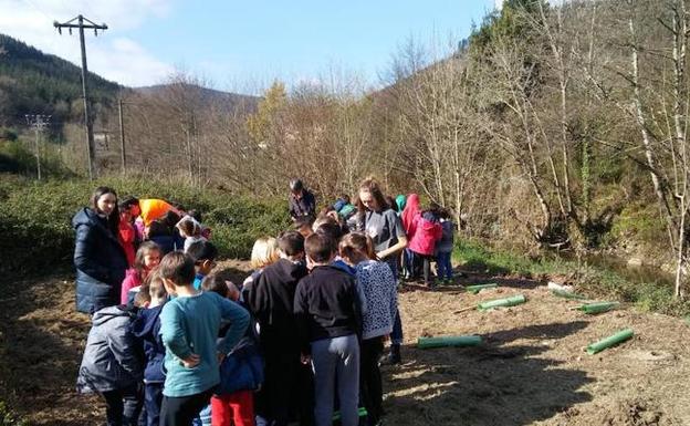 Un centenar de escolares planta árboles en Gordexola
