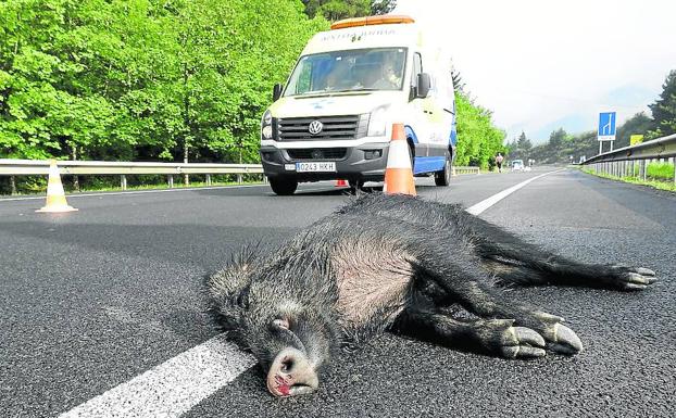 Mejoran el vallado del corredor del Cadagua para poner freno al atropello de animales